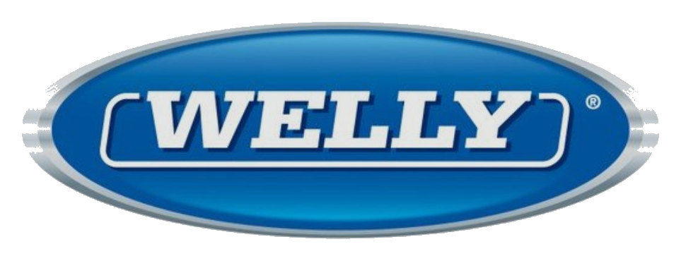 Logo WELLY